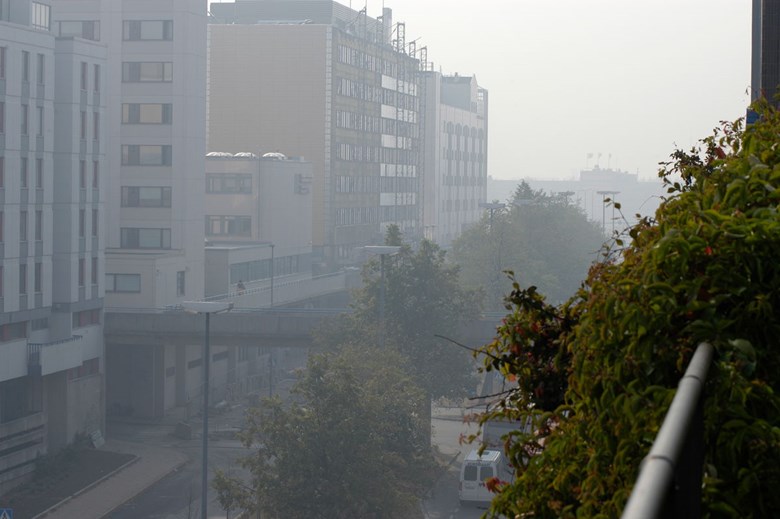 Småpartiklarna i gränsöverskridande föroreningar försämrar sikten och byggnaderna, gatan, bilarna och växtligheten är otydliga på lite längre håll. I förgrunden är bilden skarp.  