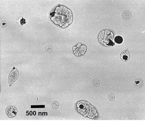 Long-range particles