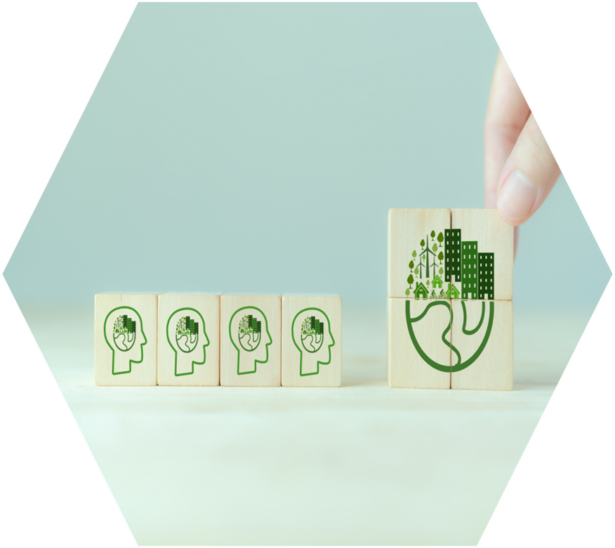 Julkisilla hankinnoilla on suuri vaikutus luonnonvarojen käyttöön